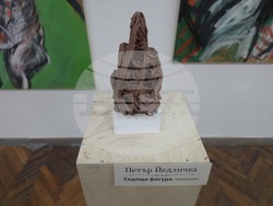 Видин - Петър Йедличка - изложба - откриване