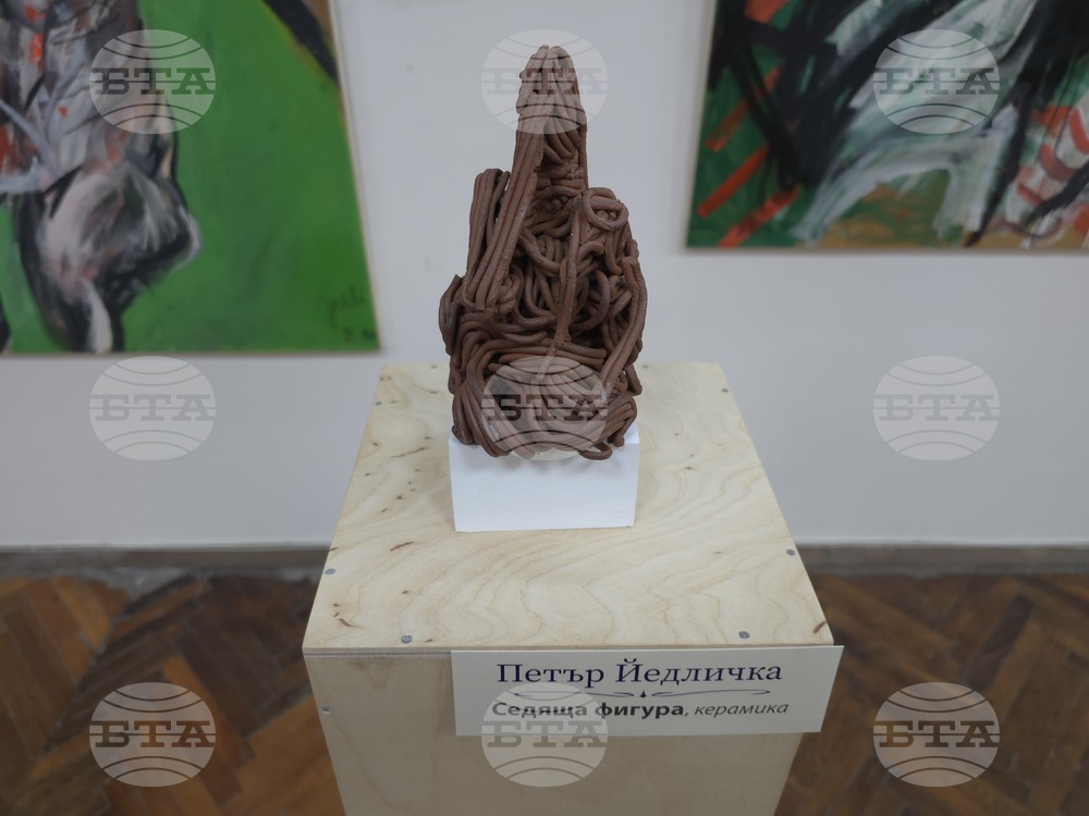 Видин - Петър Йедличка - изложба - откриване