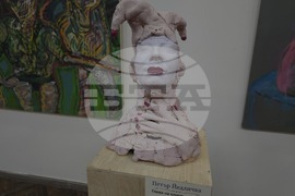 Видин - Петър Йедличка - изложба - откриване