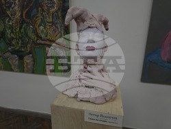 Видин - Петър Йедличка - изложба - откриване