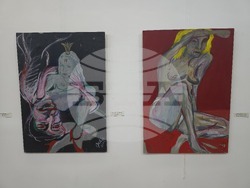 Видин - Петър Йедличка - изложба - откриване