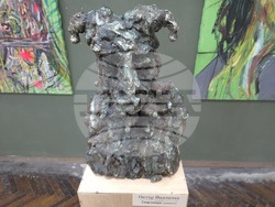 Видин - Петър Йедличка - изложба - откриване