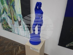 Видин - Петър Йедличка - изложба - откриване