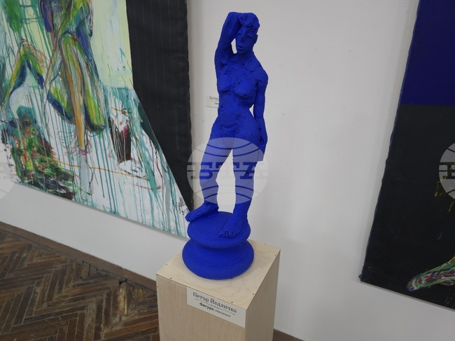 Видин - Петър Йедличка - изложба - откриване