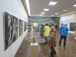 Видин - Петър Йедличка - изложба - откриване
