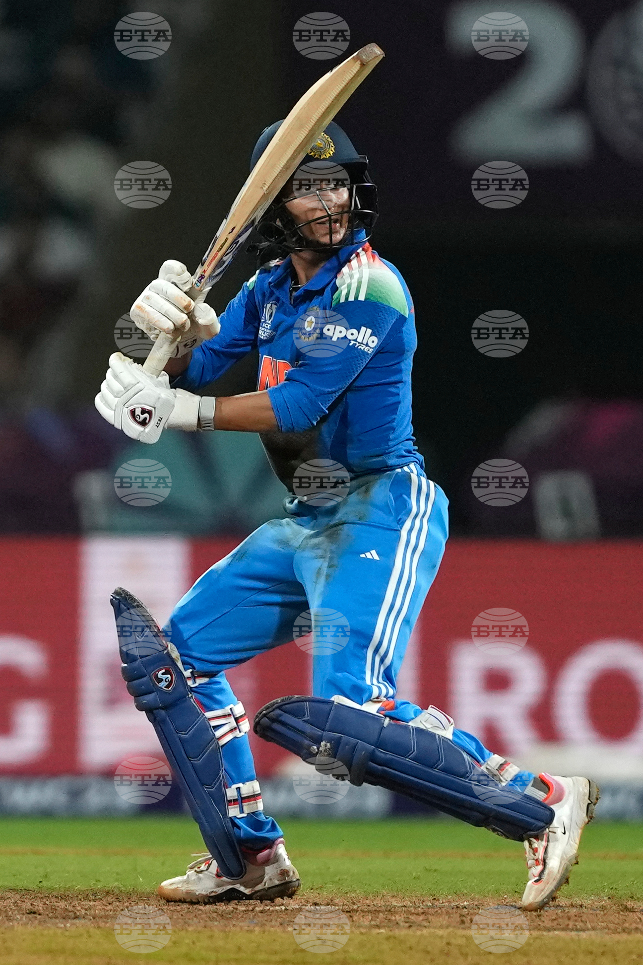 India Women's Cricket WCup