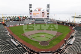 Giants Vitello Baseball