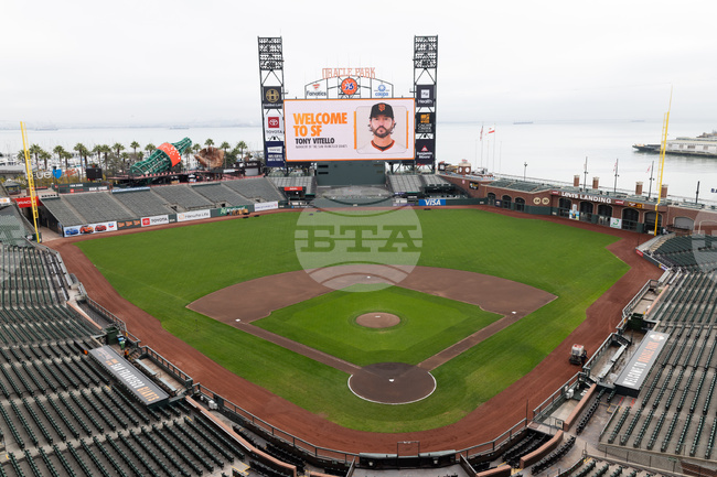 Giants Vitello Baseball