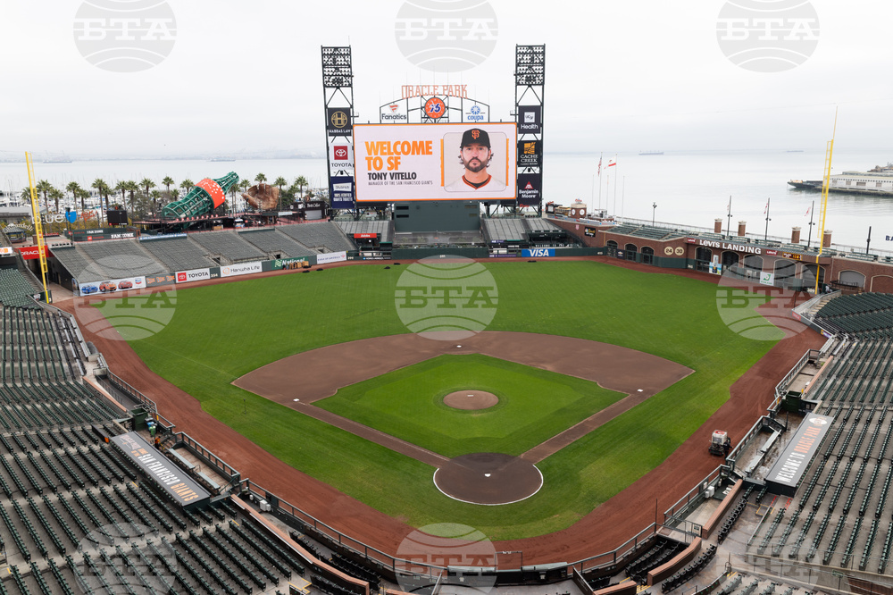 Giants Vitello Baseball