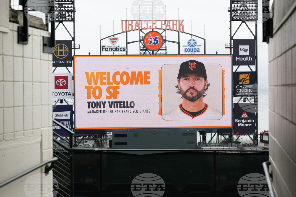 Giants Vitello Baseball