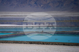 Climate Electric Vehicles Emissions