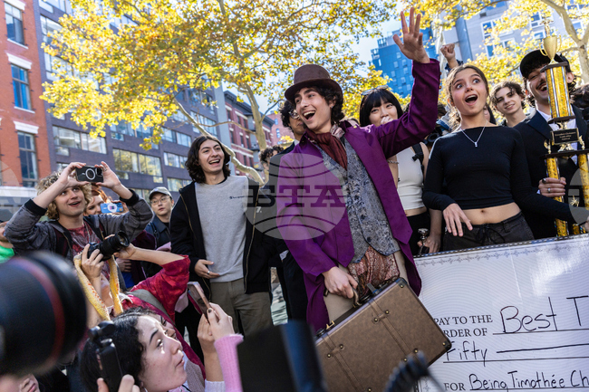 The Timothées Chalamet