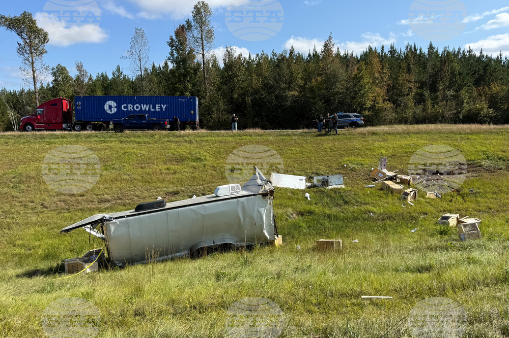 Mississippi Monkey Escape