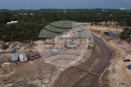 Brazil Deforestation Data