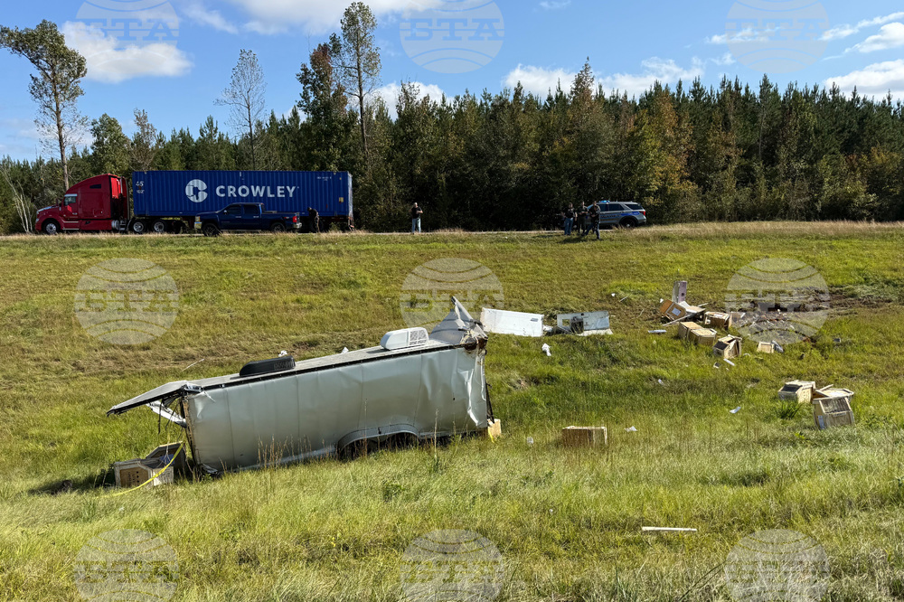 Mississippi Monkey Escape