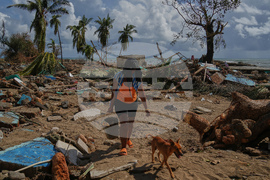 Cuba Extreme Weather