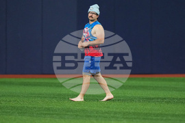 World Series Blue Jays Baseball