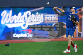 World Series Blue Jays Baseball