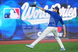 World Series Blue Jays Baseball