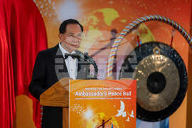 Ambassador's Peace Ball: Upholding Transparency and Integrity Through Conscience and Hope