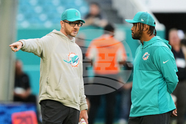 Ravens Dolphins Football