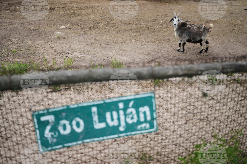 Argentina Stranded Animal Rescue