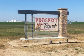 Colorado Dairy Deaths