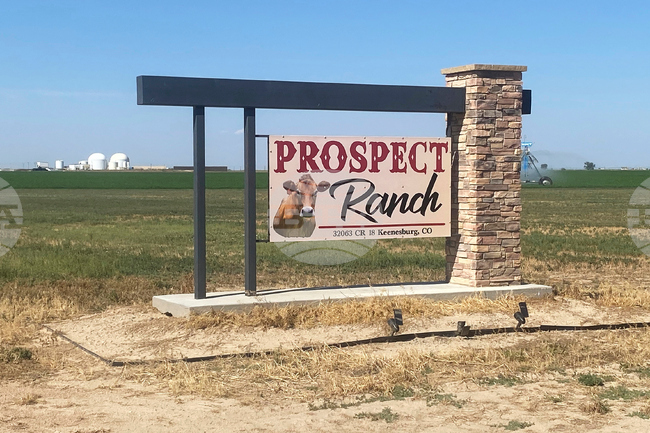 Colorado Dairy Deaths