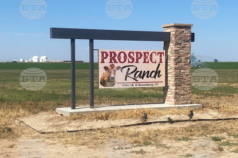 Colorado Dairy Deaths