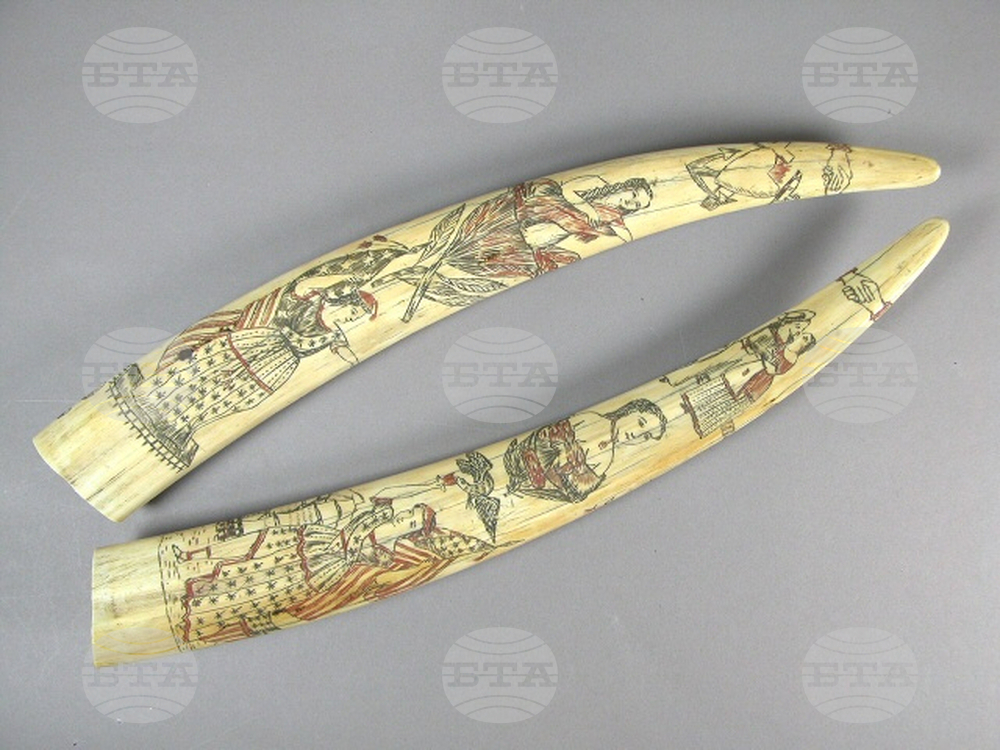 California Museum Theft