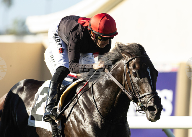 Del Mar Horse Racing