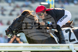 Del Mar Horse Racing