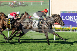 Del Mar Horse Racing