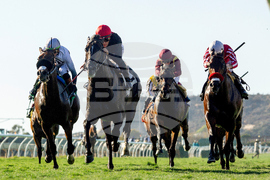 Del Mar Horse Racing