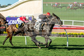 Del Mar Horse Racing