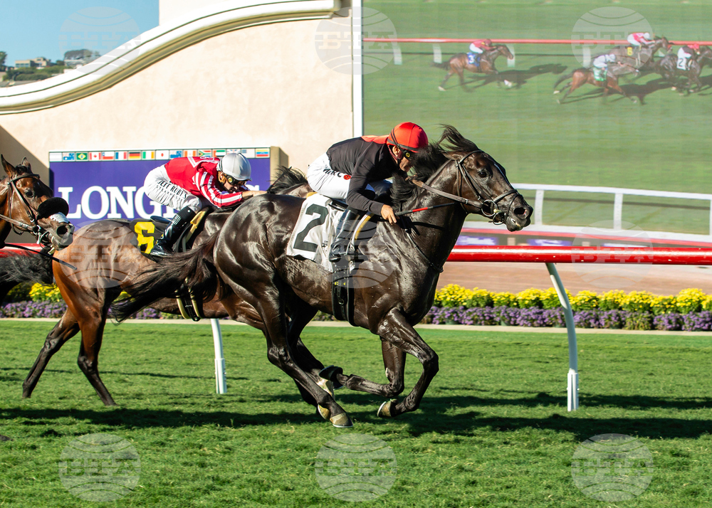 Del Mar Horse Racing