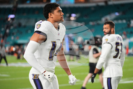 Ravens Dolphins Football