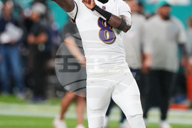 Ravens Dolphins Football