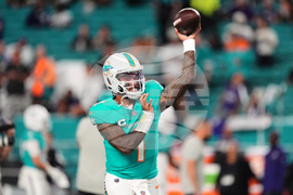 Ravens Dolphins Football