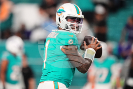 Ravens Dolphins Football