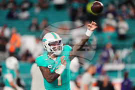 Ravens Dolphins Football