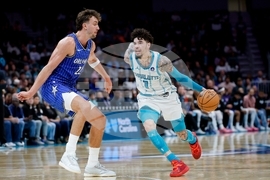 Magic Hornets Basketball