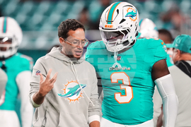 Ravens Dolphins Football