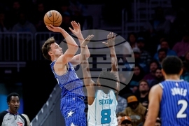 Magic Hornets Basketball