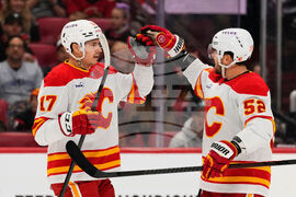 Flames Senators Hockey