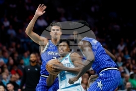 Magic Hornets Basketball