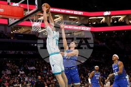 Magic Hornets Basketball