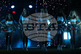 Ravens Dolphins Football