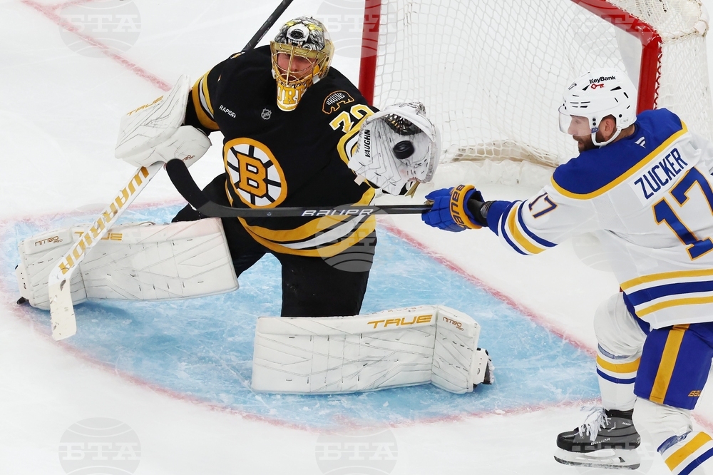 Sabres Bruins Hockey