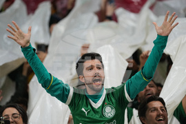 Brazil Ecuador Soccer Copa Libertadores